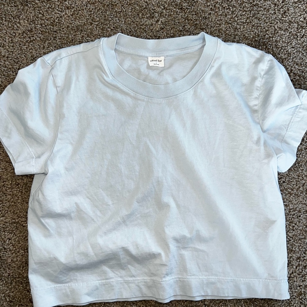 Aritzia Wilfred Free tee